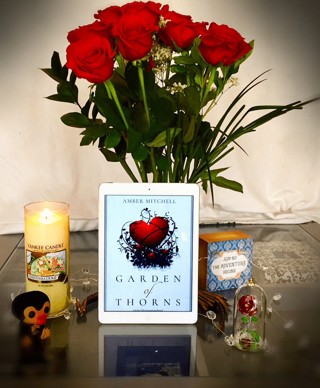 amber's book thing 2 (1).png